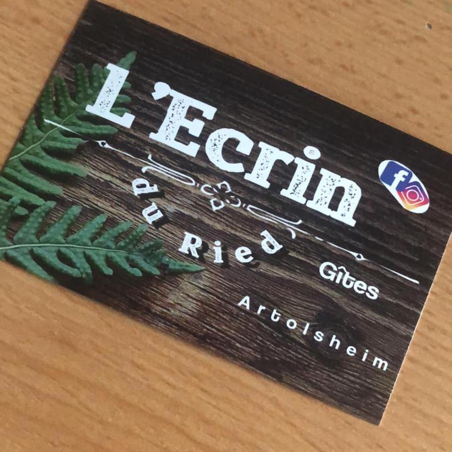 Gite Cosy L'Ecrin Du Ried Proche Europa-Park Artolsheim Exteriér fotografie